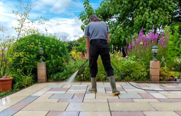 Best Animal Enclosure Cleaning  in Waihee Waiehu, HI